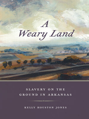 cover image of A Weary Land